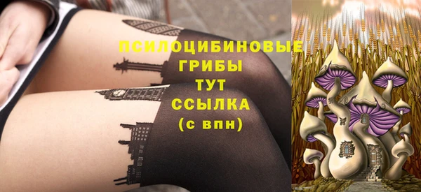 таблы Рославль